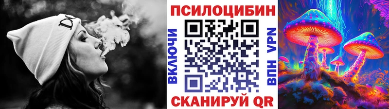 сколько стоит  Мирный  Псилоцибиновые грибы Psilocybe 